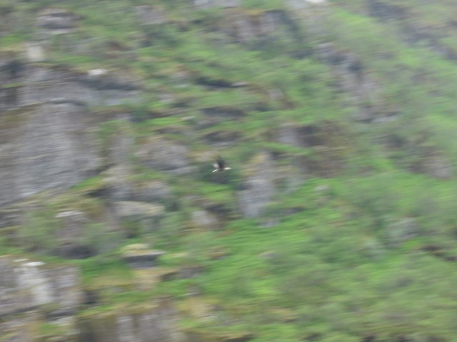Hurtigruten_2015-06-25_16-29-2